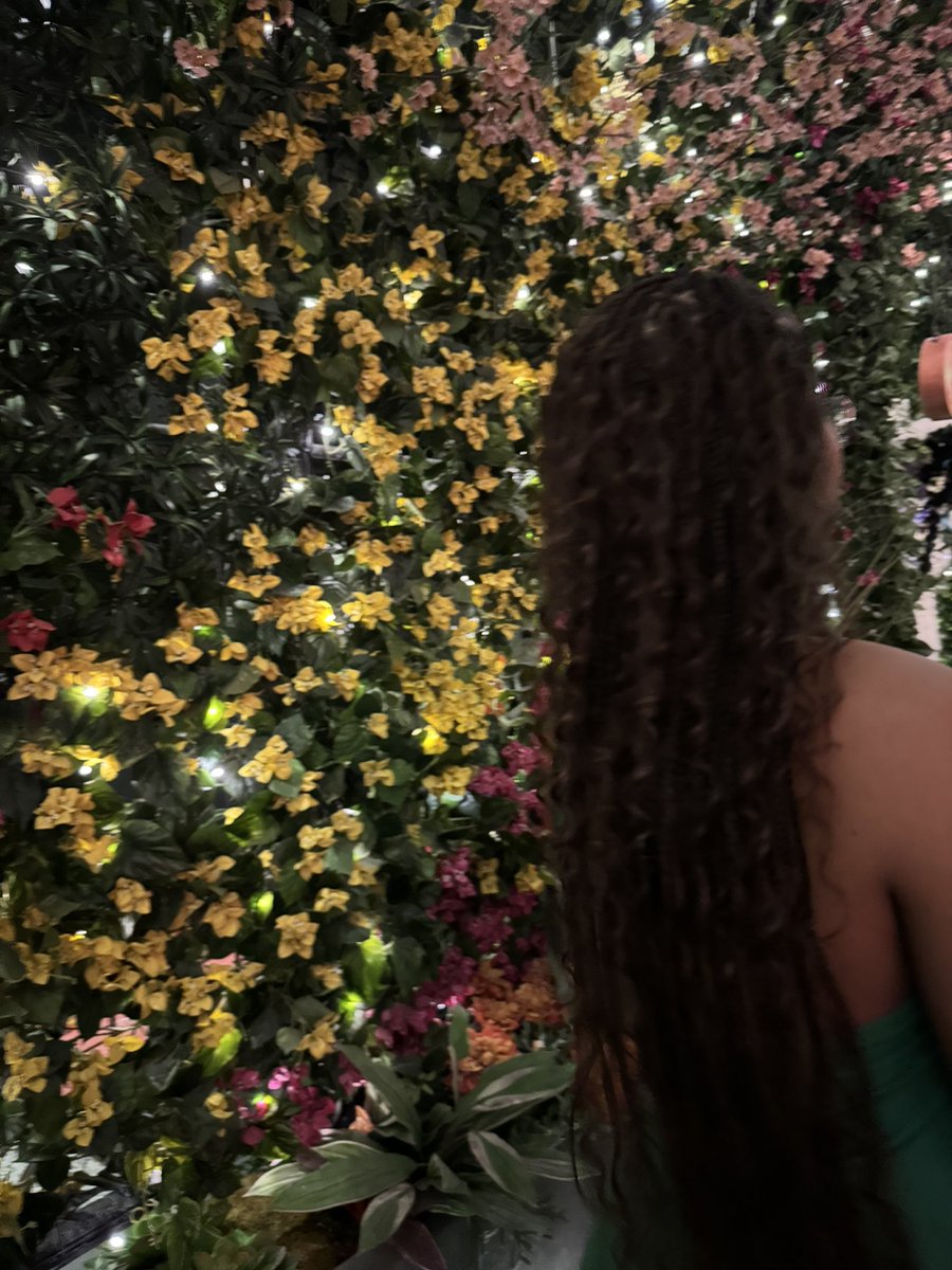 itznotkris's tweet photo. 🌺 https://t.co/AbjDIq1uED