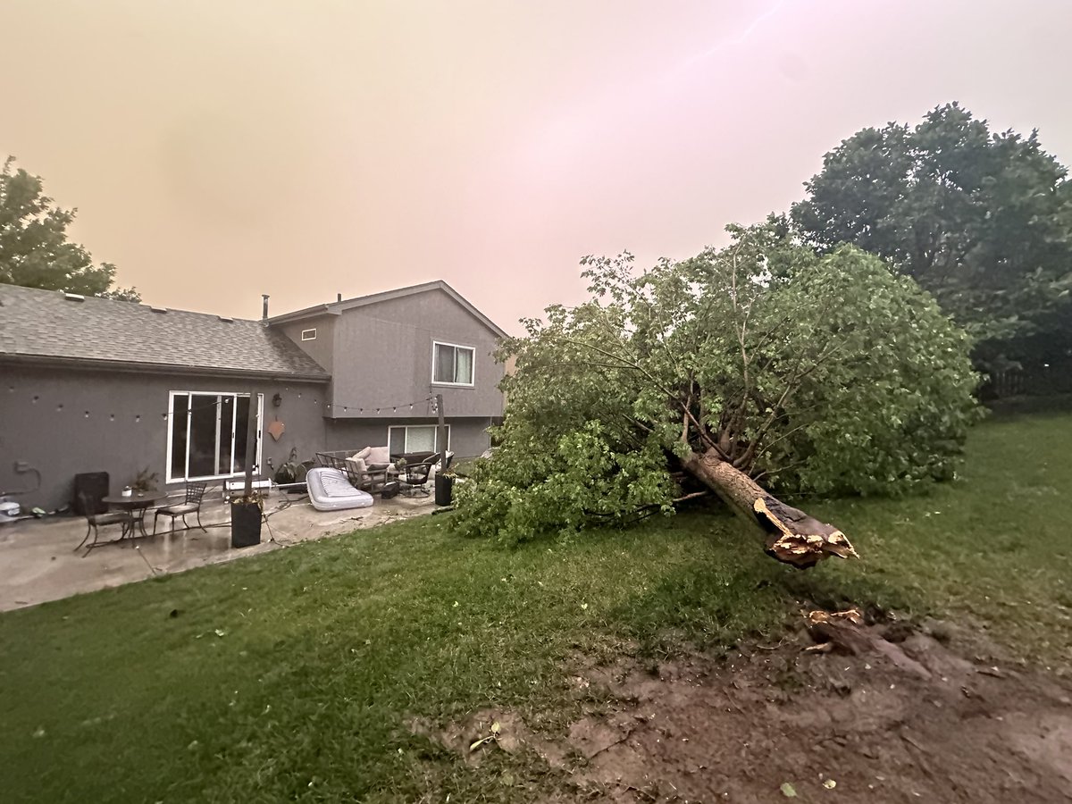 Hally O’Connor tweet media