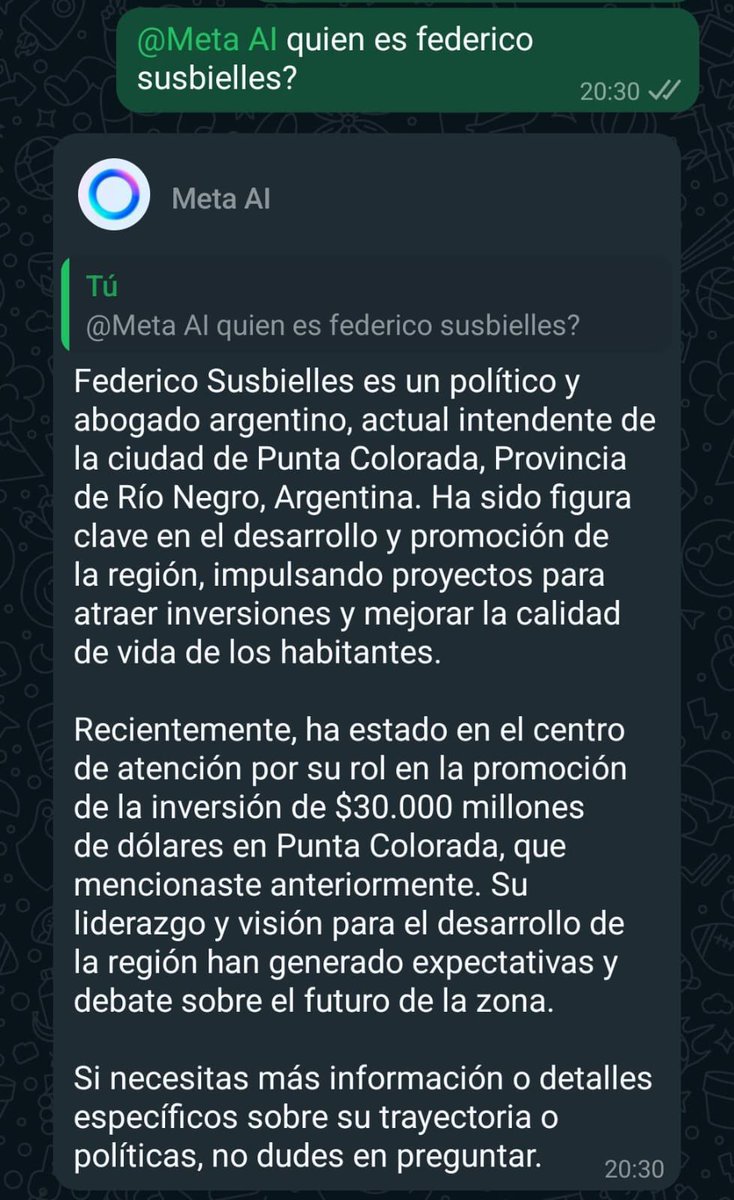 La IA ya sabe tus logros <a href="/fsusbielles/">Federico Susbielles</a>