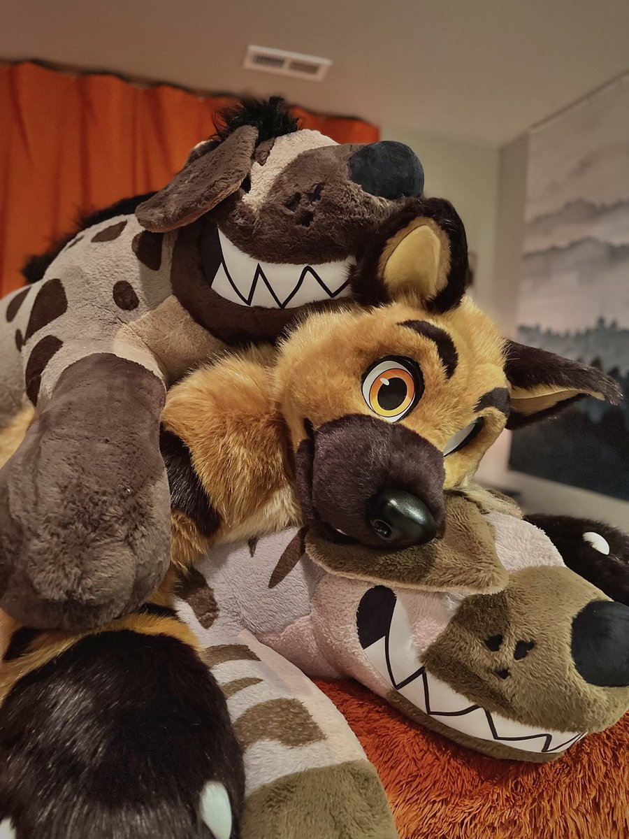 One of these Yeens is not like the others!