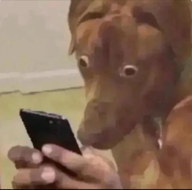 』"OOOOOOOOOOOOOOO"『