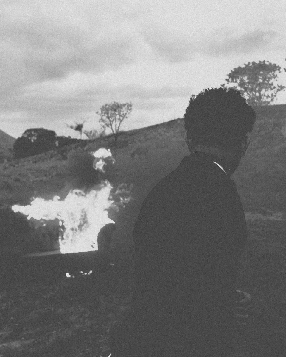 alee__vieira tweet media