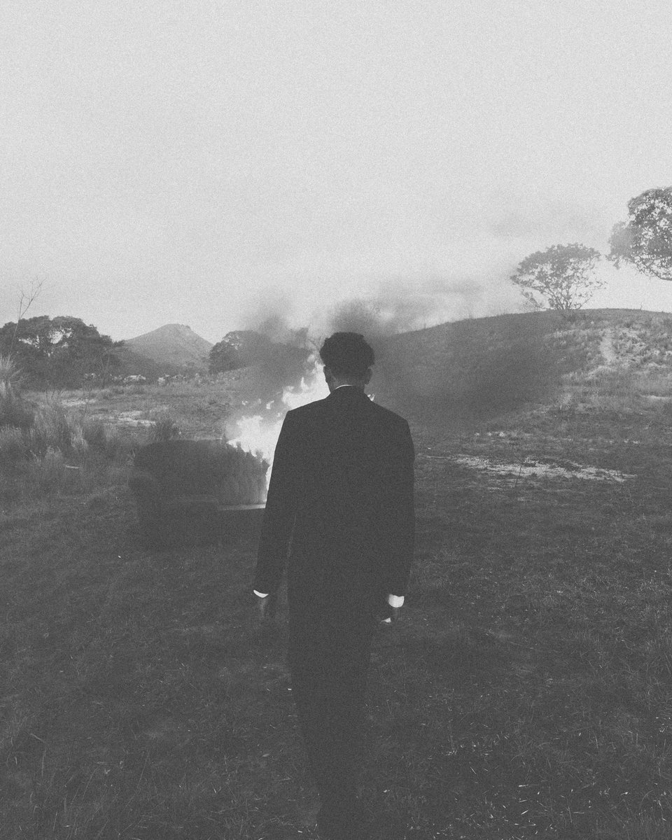 alee__vieira tweet media