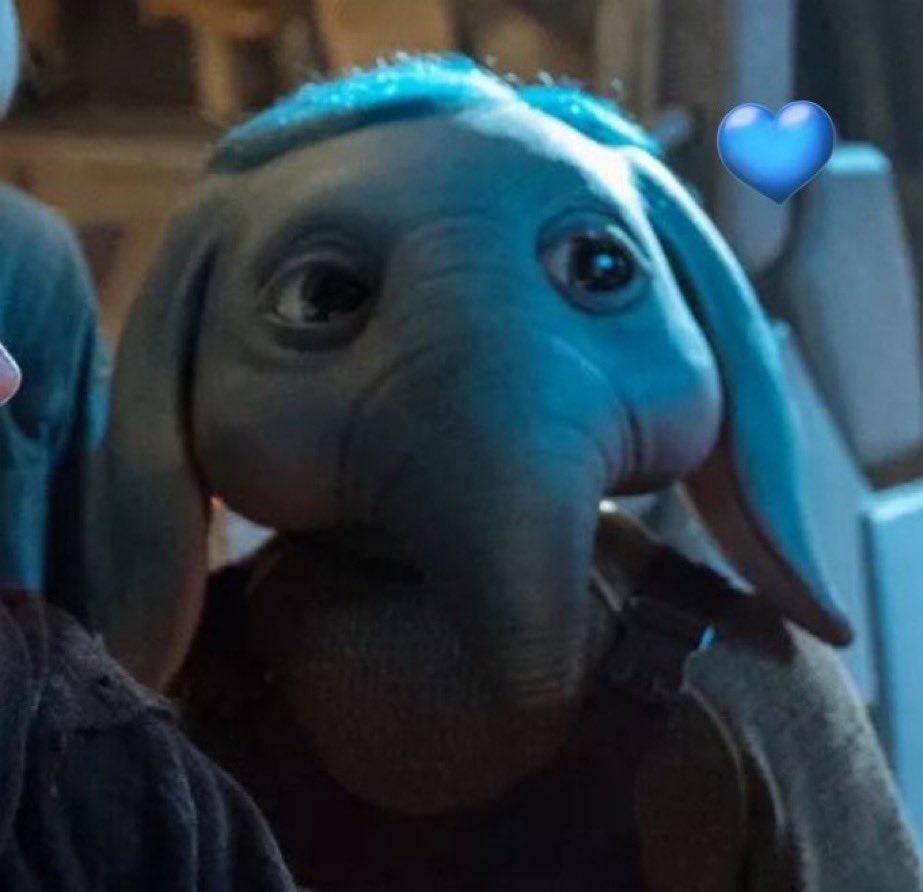 Indyoda013's tweet image. So we have #NeelNation, but what about the other kids?

Here are my suggestions...

#WimWorld
#TheKBBunch (this is my favourite)
#FernFoundation
#NeelNation
#JodLot