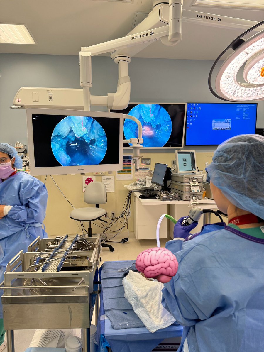 nymcbrainspine's tweet photo. Today our residents participated in a full day cranial cadaver lab courtesy of @StrykerNS @StrykerEndo. Our residents guided by faculty mentors practiced various approaches including far lateral, supraorbital eyebrow, and endonasal approaches with our ENT colleague Dr. Johnson https://t.co/6PJJnF9A4J
