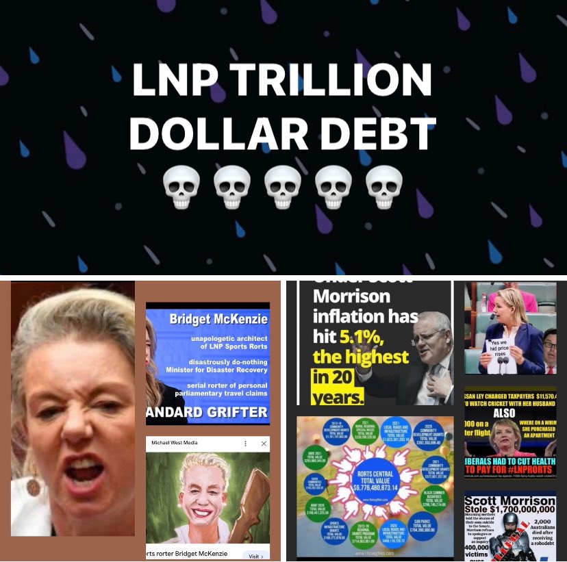 DigbyMiss's tweet photo. Ffs switched on the radio &amp; Jane Hume screeching, lying ranting &amp; over powering Patricia Karvelas on Radio National  
PK didn’t bring up the massive debt The liberals left for the ALP &amp; the taxpayers to turn around #auspol #ABCRN https://t.co/qwqa1krv5Q