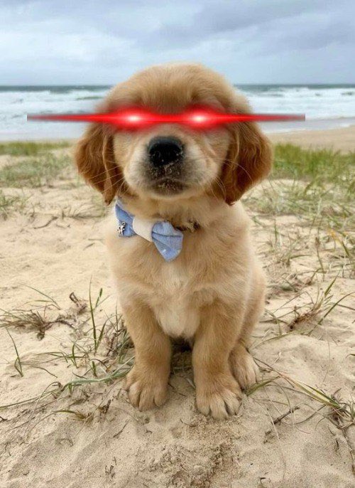 xhomosensorium's tweet photo. @mememe69696969 hello from $ARSY! 

join up our ongoing tg vid @ $ARSY 

@ArsyLife
@devtoronto
@Jeff_the_retard 

13 year old dev sending this to the MOON… 🪬

CA: J5rHNp3ELo5z9pj96ZPeVhmaXCo5jn2nNnGNBDhPpump https://t.co/xxSYISEgge