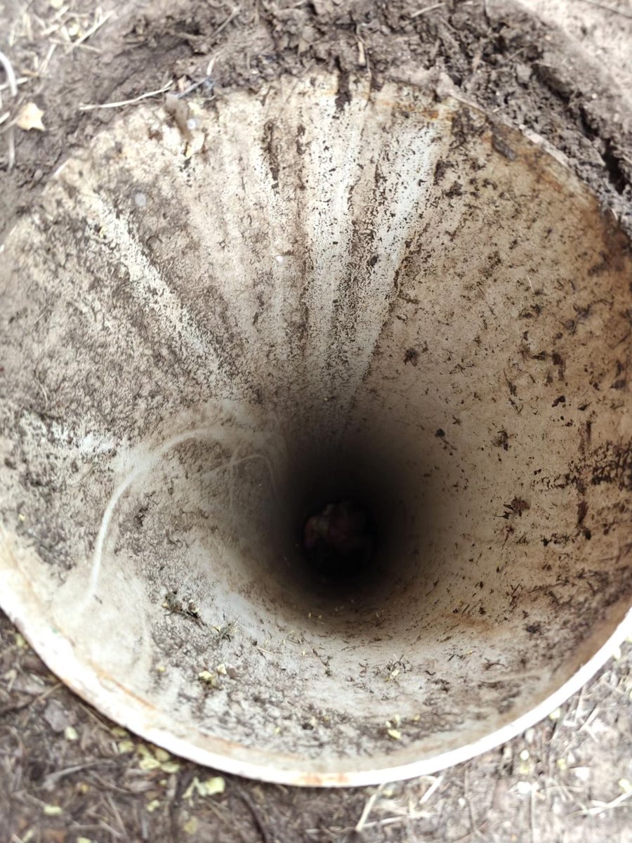 Gabriela Hernandez tweet media