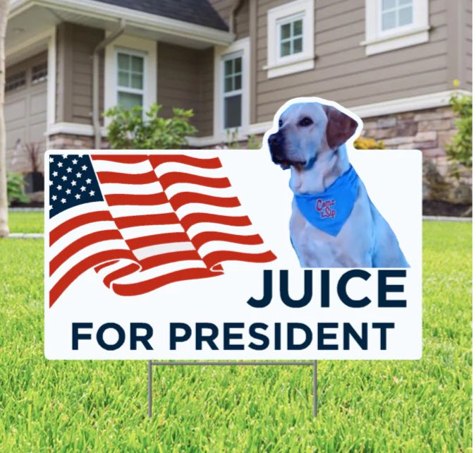 the only President sign going in my yard

Get one 👇🏼

linktr.ee/omrebelnation