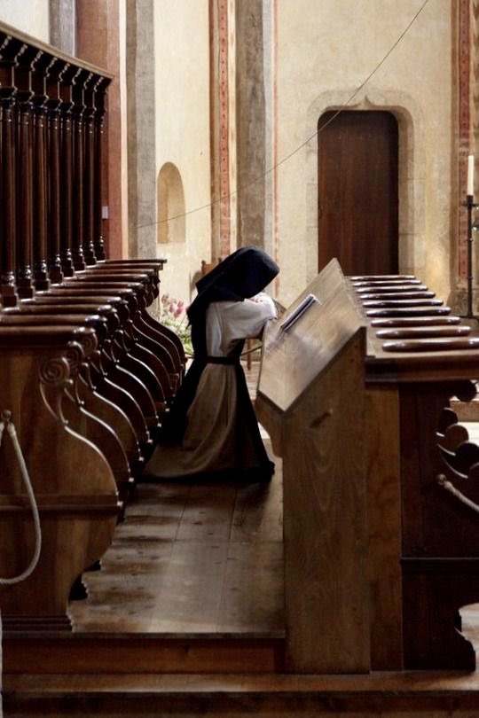 KnowsPascal's tweet photo. Let us take care, therefore, to quiet our own will, uniting it ever to the will of God; and thus we shall be able, also, to quiet our intellect, recollecting that everything that God does is the best thing that can befall us.

-St. Alphonsus https://t.co/mjAWnU0Jcq