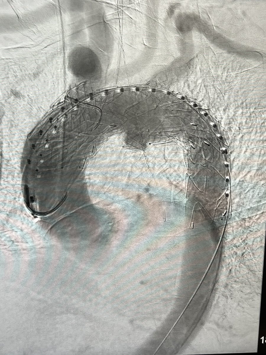 Jeromy Brink, MD tweet media