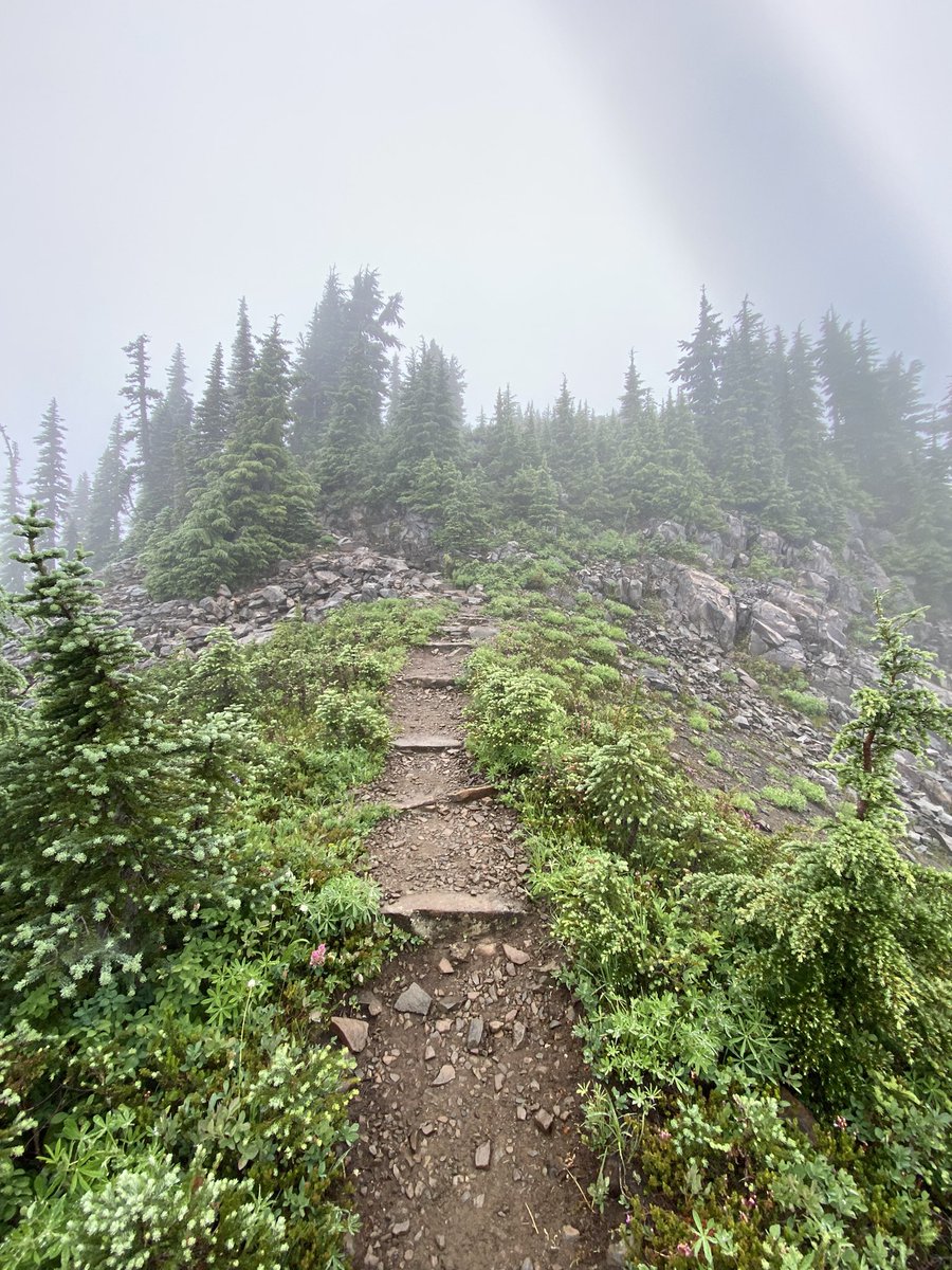 JakotaDohnson's tweet photo. 7 Lakes Basin - Olympic National Park https://t.co/wP0ejZMVyH