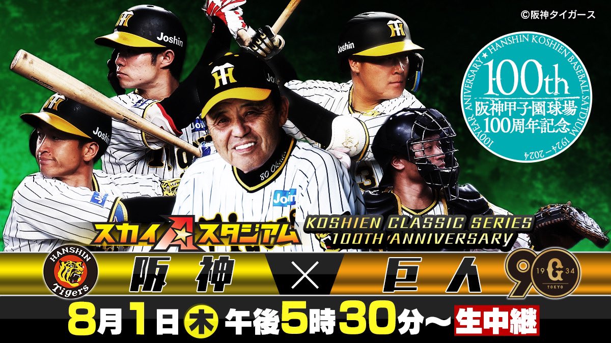 スポーツ 5月18日 阪神vs広島 グリーン通路側2席
