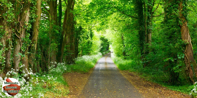 27 Helen Keller Quotes That Will Be Your Inspirational Life Lessons Of Today - buff.ly/2Qe2lsp