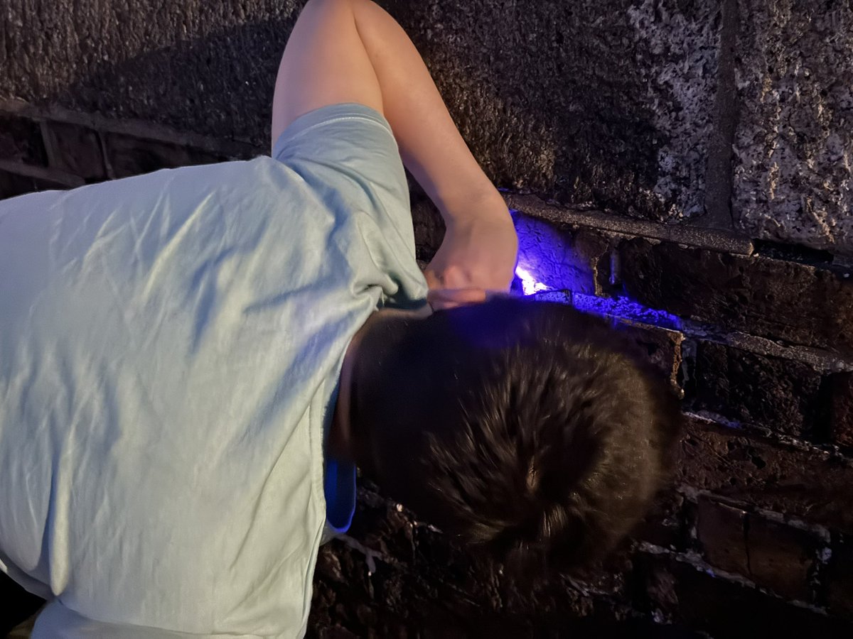Scorpions! Great night on the isle of Sheppey looking for Britain’s only naturalised population of scorpions! Perfect post A-level summer treat!