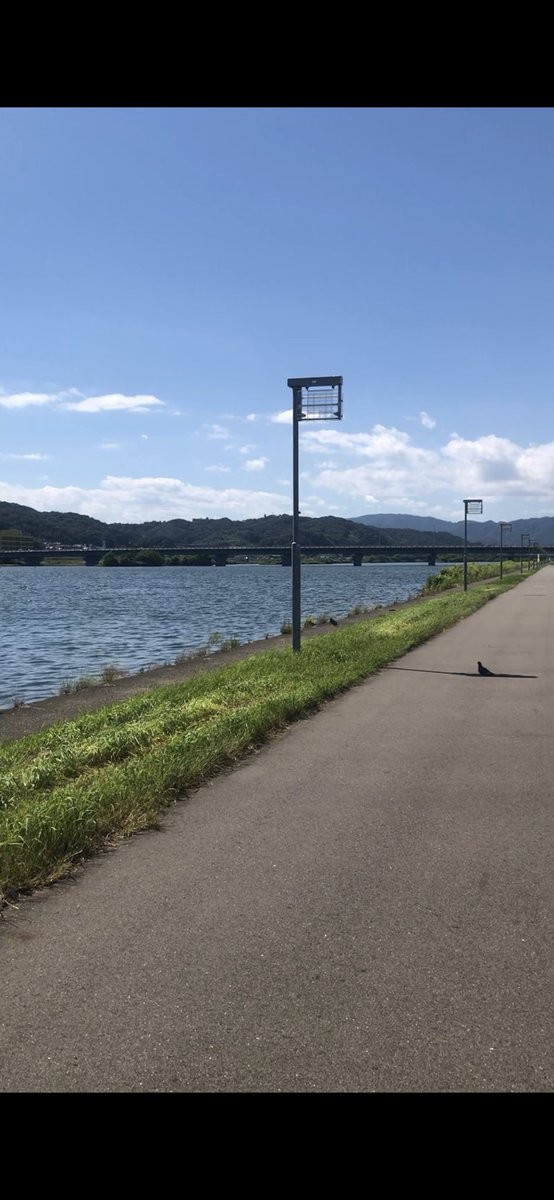 umechan0310fthc's tweet photo. 暑いよなぁ、わかるわぁ🙄 https://t.co/YdrsgZMSFN