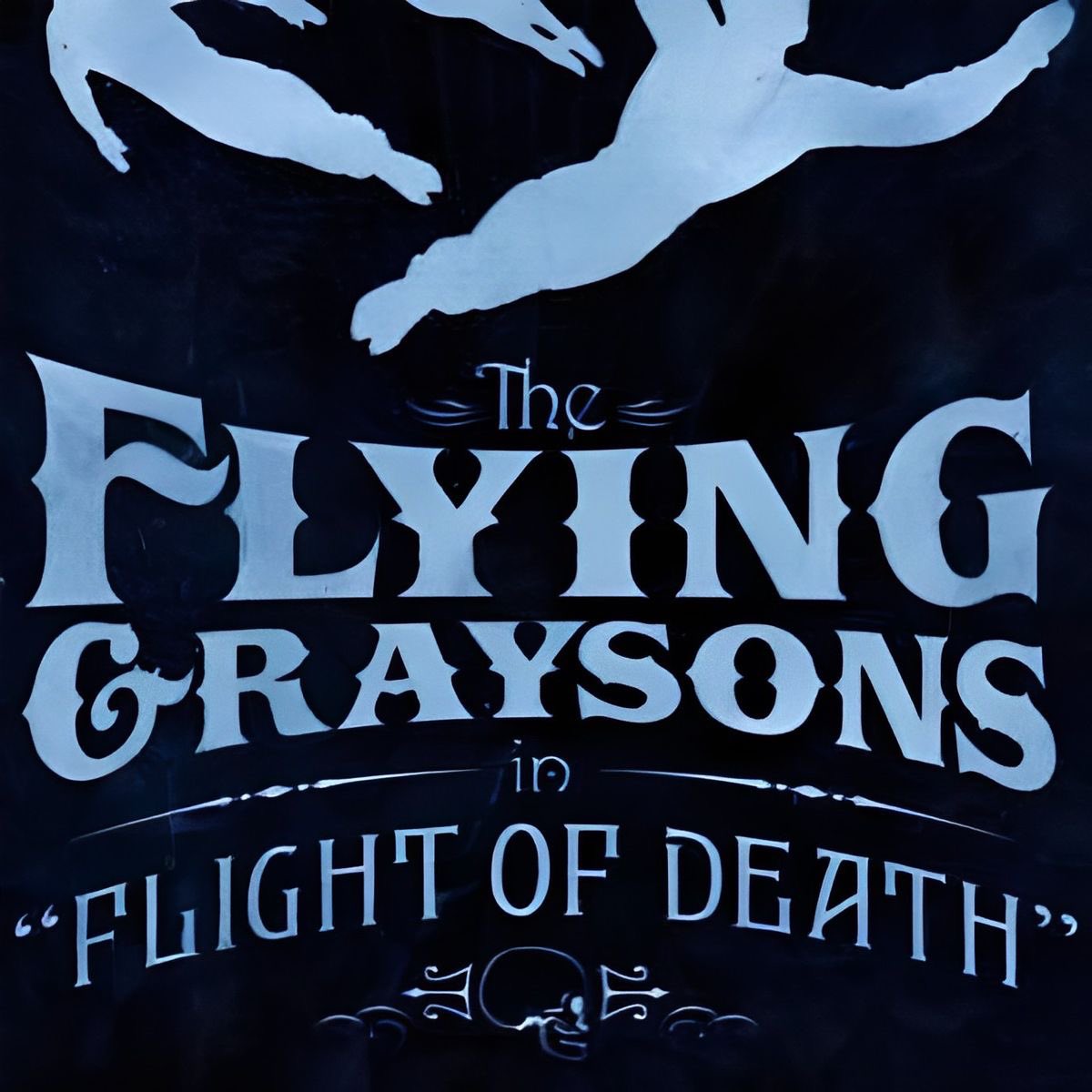 ⠀⠀⠀ ⠀ dick grayson.