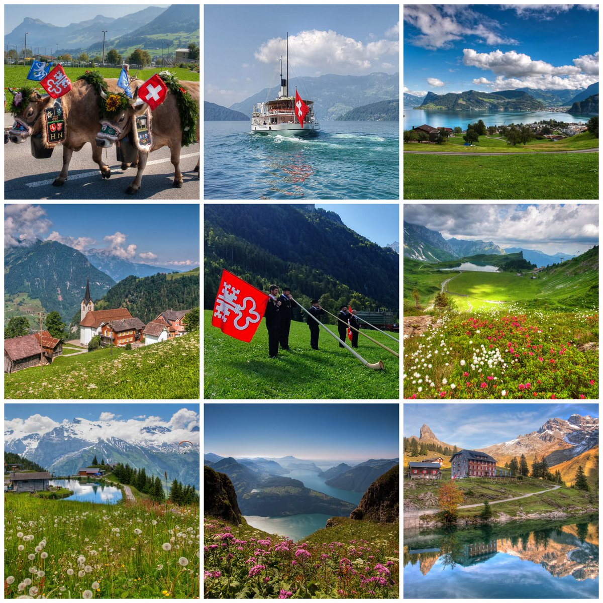 juiz_nidwalden's tweet photo. Happy Birthday Switzerland 🇨🇭 
🔥🎆 https://t.co/q0eWhW9CCw

#Switzerland #Nidwalden #Schweiz #Vierwaldstättersee 
@MySwitzerland_e https://t.co/0tTBNQ3owX