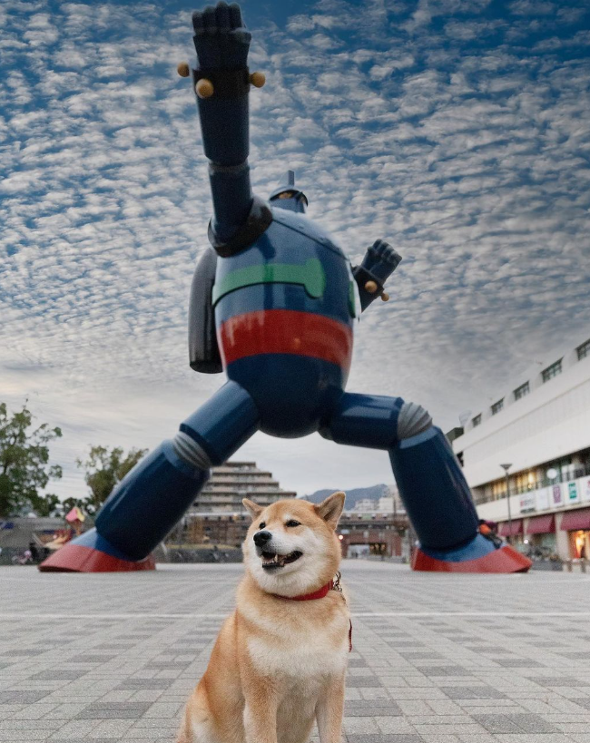 MaruTaroCoin's tweet photo. $MARU visiting Kobe Japan!

The most popular #ShibaInu's on Instagram &amp; 3rd oldest $SHIB to live!

$DOGE $NEIRO #ETH https://t.co/rD4oi6zCs7