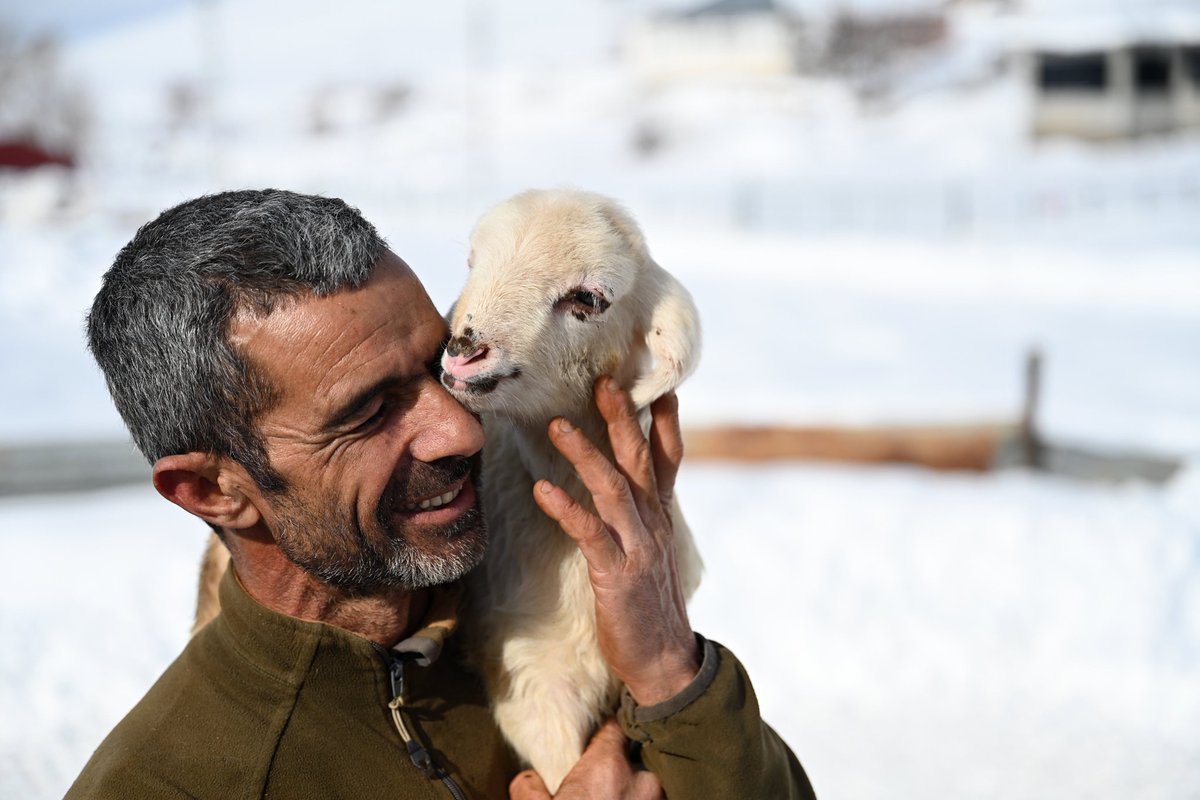 Fatih Mehmet Özdemir.Eth/Xtz/Sol (@fatihmozdemir) on Twitter photo Good Morning #nft Fam ☀️
“Bond of Love” The shepherd, who becomes friends with the lamb he feeds, adopts the lamb more and more as time goes by.
<a href="/exchgART/">Exchange Art</a>
📷Bond of Love
📷0.50 SOL
📷1/1 Edition
exchange.art/single/8CeMqLz… Good Morning #nft Fam ☀️
“Bond of Love” The shepherd, who becomes friends with the lamb he feeds, adopts the lamb more and more as time goes by.
<a href="/exchgART/">Exchange Art</a>
📷Bond of Love
📷0.50 SOL
📷1/1 Edition
exchange.art/single/8CeMqLz…