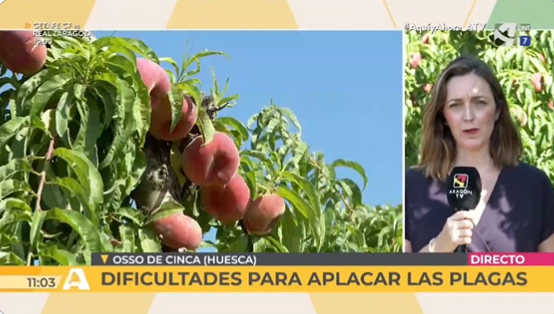 Dos30TV's tweet photo. OJO a las mañanas de @aragontv:

#LaPeraLimonera 8.9%

#AquíYAhora 12.8%

#AtrápameSiPuedes 27.2%

#QueVivaLaTele #Audiencias https://t.co/OWU1y4BoFd