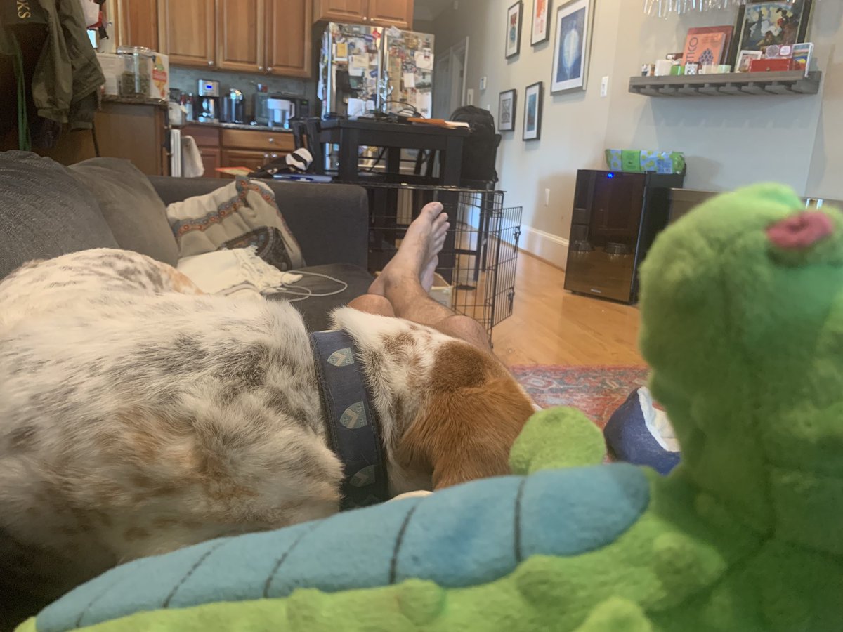 Neil Bhatiya tweet media