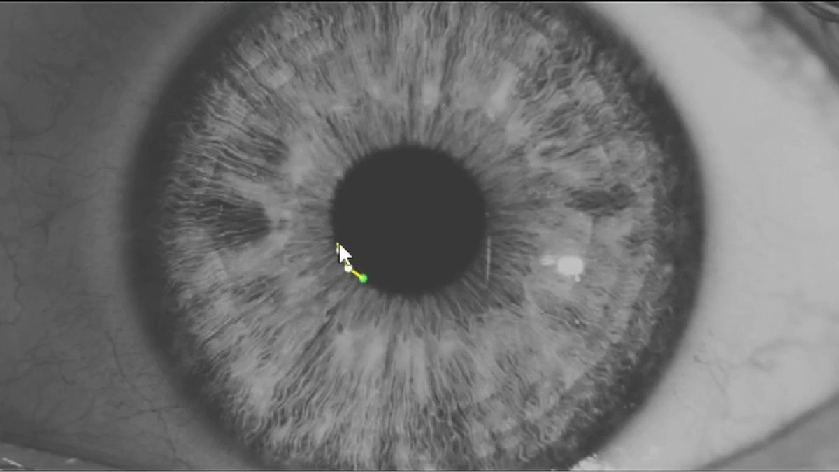 Flickers is excited to welcome “Human, not human,” directed by Natan Castay into RIIFF 2024!

Otto spends night and day blurring faces on Google Street-view for a cent each, sinking into a robotic world that raise the question of humanity.

#RIIFF2024 #documentaryshort