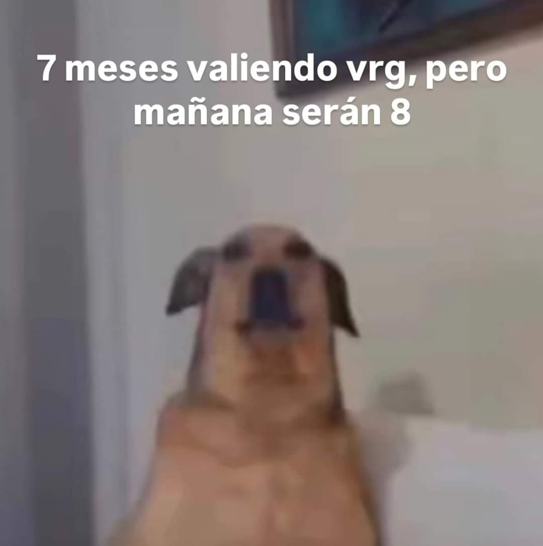 En Júpiter (@en_jupiter_) on Twitter photo 