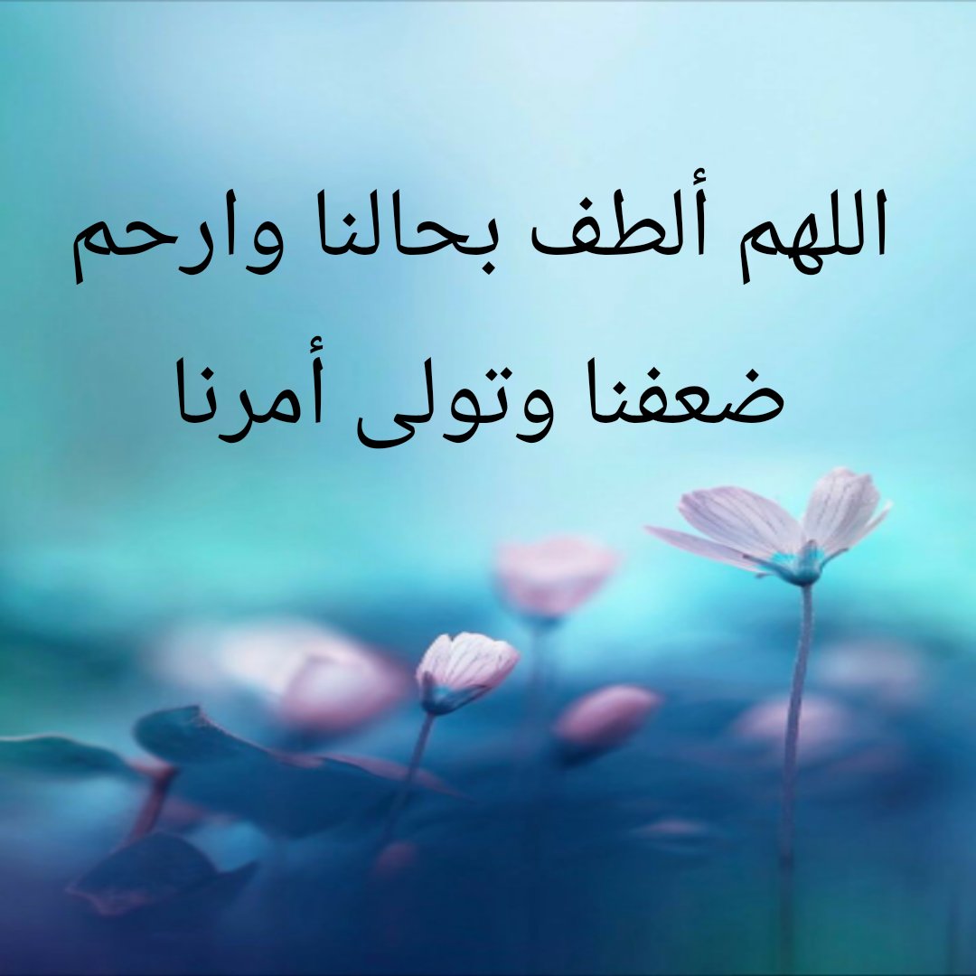 vvvv558vv's tweet photo. #الضمان_الاجتماعى_المطور https://t.co/0nhI2iyBO6