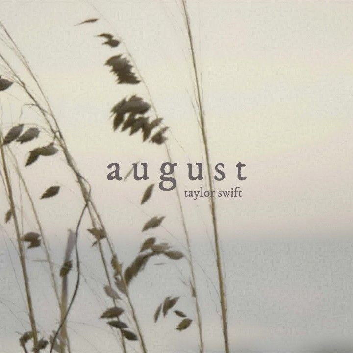 updateswiftbr's tweet photo. Bem-vindo, agosto! 🌬️🧂 https://t.co/XlLEeOE9jJ