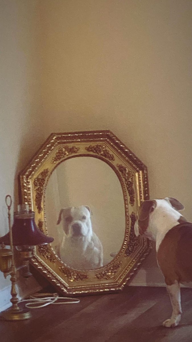 he goes to the mirror from time to time.