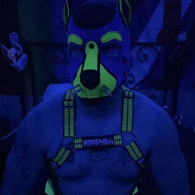 Pupvash23NFSW's tweet photo. #NewProfilePic https://t.co/aKYtv7l0Aa