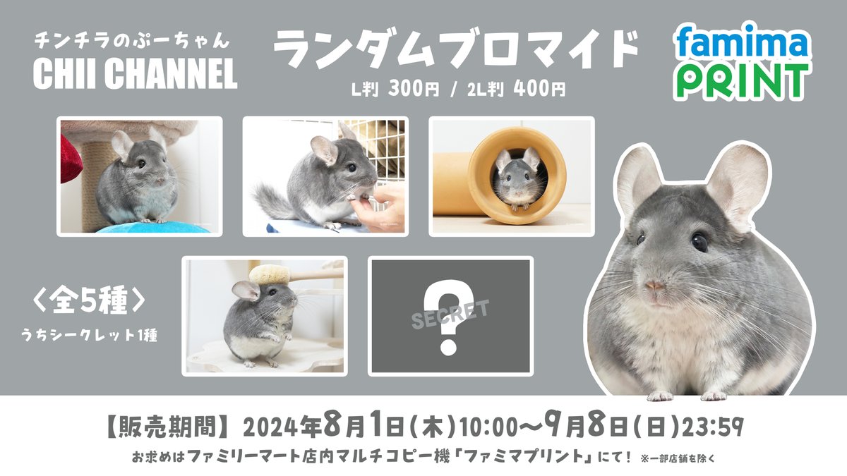 ちーちゃんねる × ファミマプリント ちーちゃんねるから、ちんちらの