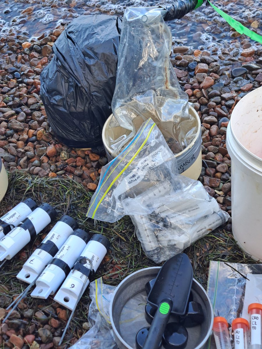 Fun with seagrass chambers in Lake Macquarie!