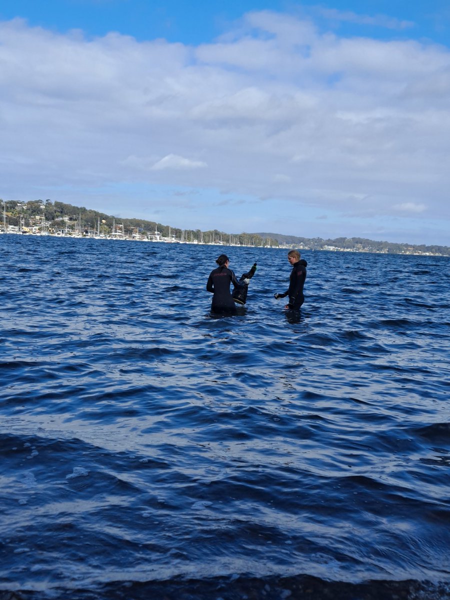 Milly Caley @millycaley.bsky.social tweet media