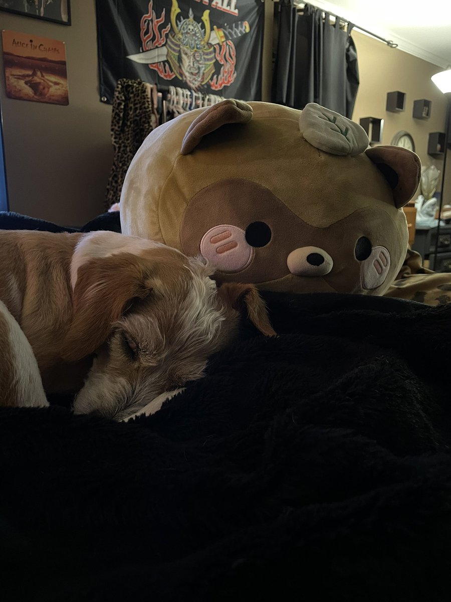 cromegzz's tweet photo. Lassie &amp; her bff https://t.co/t2Nxre0vE6