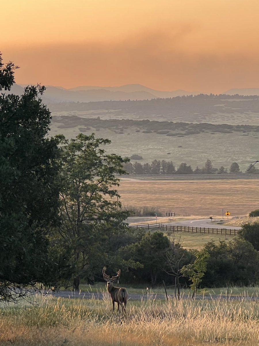Thinking of those trying to keep Colorado safe tonight as the sun sets over multiple fires.  A look tonight near Castle Rock. 

 <a href="/DenverChannel/">Denver7 News</a>  <a href="/DenverPostBrk/">Denver Post Breaking</a> <a href="/KDVR/">FOX31 Denver KDVR</a> <a href="/denvernews/">Denver News</a> <a href="/Denver7Traffic/">Jayson Luber</a> <a href="/KathySabine9/">Kathy Sabine</a> <a href="/KyleClark/">Kyle Clark</a>