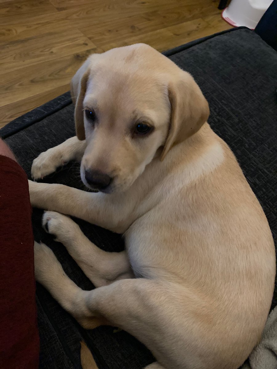 Up at 2.45am to watch United play in a friendly in San Diego.

There’s something wrong with me.