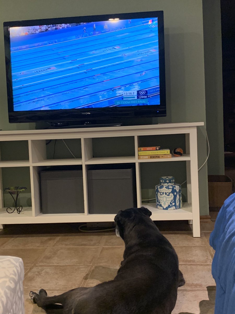 Even my dog, Scout, is obsessed with <a href="/katieledecky/">Katie Ledecky</a>. Such an impressive athlete and human! <a href="/TeamUSA/">Team USA</a> <a href="/NBCOlympics/">NBC Olympics & Paralympics</a>
