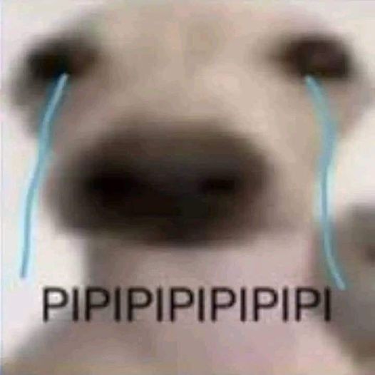 sophia (@itsophiac) on Twitter photo 