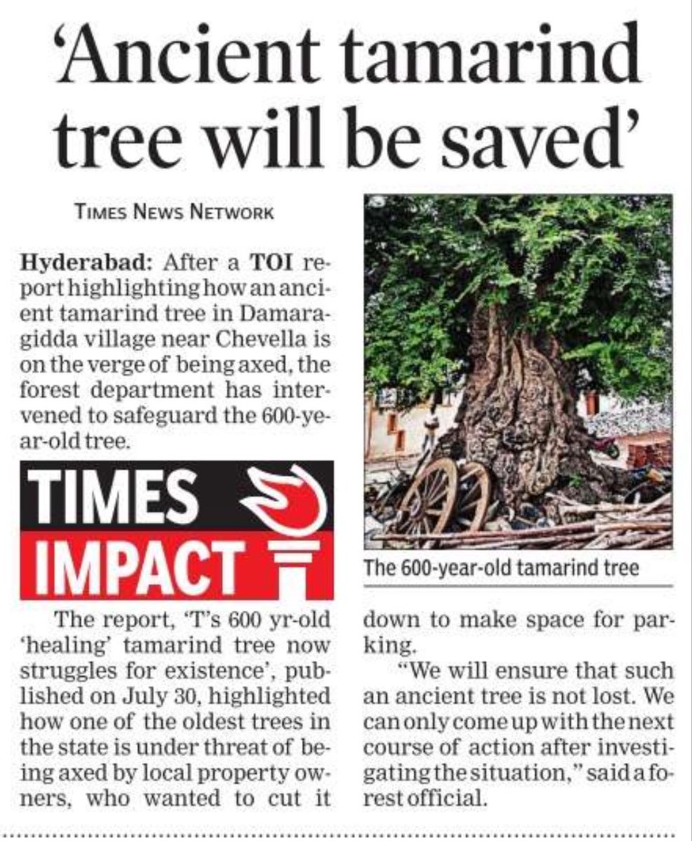 sai_koushika's tweet image. #SaveFullyGrownTrees
#TheBigTreeQuest