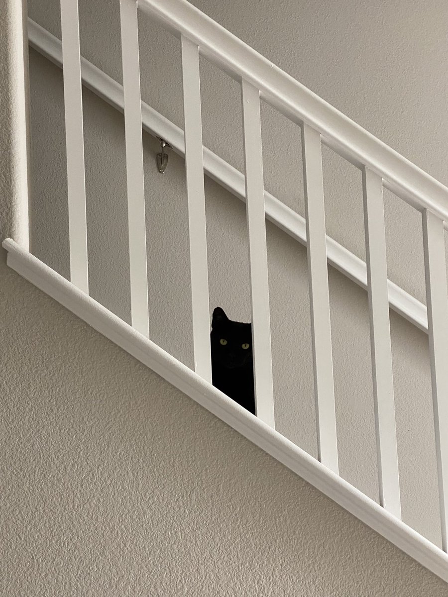 Admiral Baker tweet media