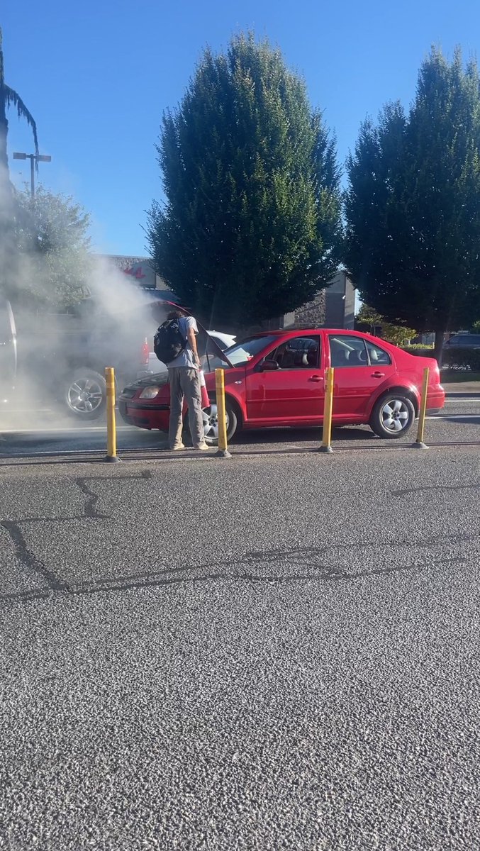 rileydicknbutt's tweet photo. jetta got hit with a nuke https://t.co/ZkoQZ51y64