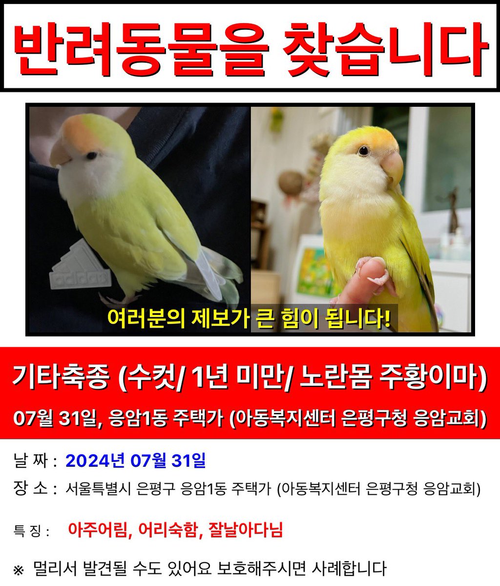 mungmung0v0's tweet photo. 막내가 집을 나갔어요..
서울시 은평구 거주하시는 분들
관심 부탁드립니다. https://t.co/KzRPwisTzr