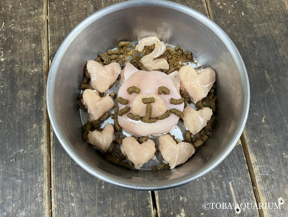 2歳の誕生日: みなさま、7月30日は、、、?スナドリネコ「ルビー」の2歳の誕生日でした！ 当日は「飼育係特製肉ケーキ」と「手作りの紐と木のおもちゃ」をプレゼントしました。誕生日になるとみんなで人工哺育をがんばってた頃からもう2年も経っ dlvr.it/TBL4zS