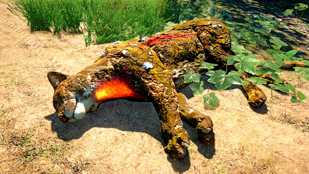 13brevkasse's tweet photo. #Boar #FarCryNewDawn #Moose @FuturtechStudio #Gameplay #VPRT #Alpha #PlayStationTrophy #VGPNetwork #Crocodile @iHuntKillerz #FarCry #PS5Share #Cougar #ThePhotoMode #Horatio #XboOne @journeyman121 #FangsForHire #Gamer #MonstrousCougar #Highwaymen #Scavengers https://t.co/HngLi15bsx