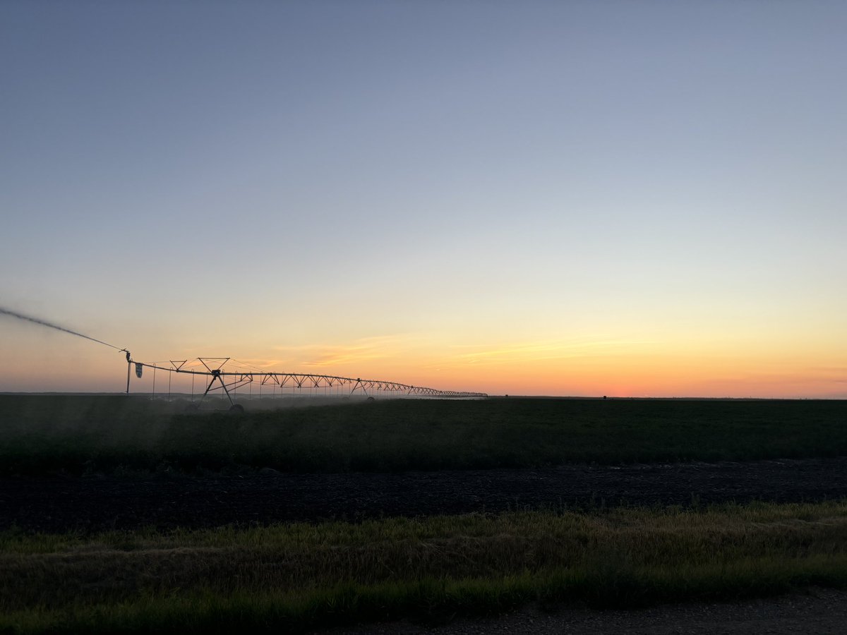 Tim Halsema tweet media