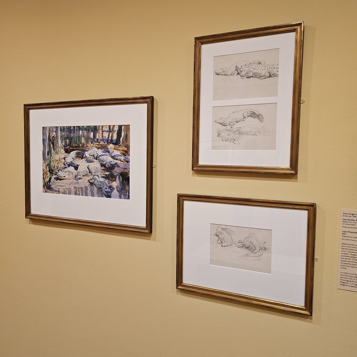 crabwise_gamgee's tweet photo. @kendrictonn Muddy Alligators is peak, glad I got to see it in person last year. They had it on display at the Worcester Art Museum. Also here is a higher quality image https://t.co/KKSbGYEosJ