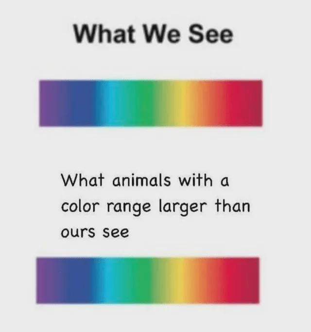 Physics Memes tweet media