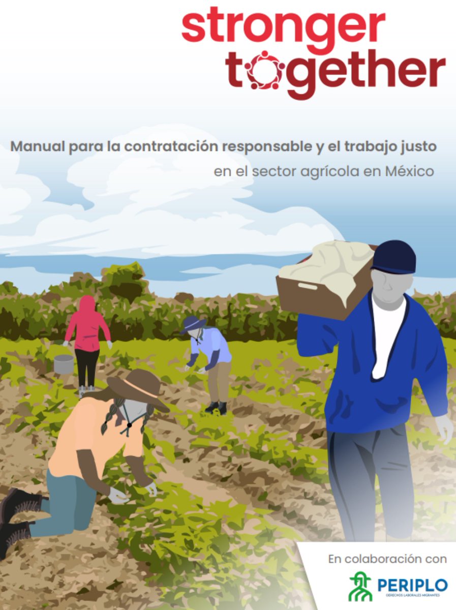📢Entérate l <a href="/S2G_UK/">Stronger Together</a> ―aliada de PERIPLO― desarrolló el "Manual para la contratación responsable y el trabajo justo en el sector agrícola en México", creado para implementar procesos de reclutamiento responsable y ofrecer trabajo digno. 
Descarga aquí: proyectoperiplo.org/manual-para-la…
